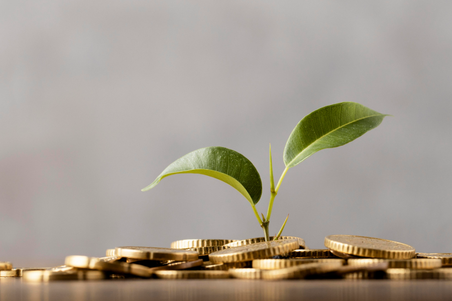 O Papel da Economia na Construção de um Futuro Sustentável